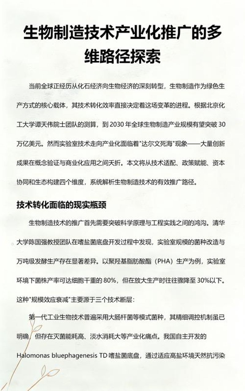 浙江生物科技:绿色创新的力量